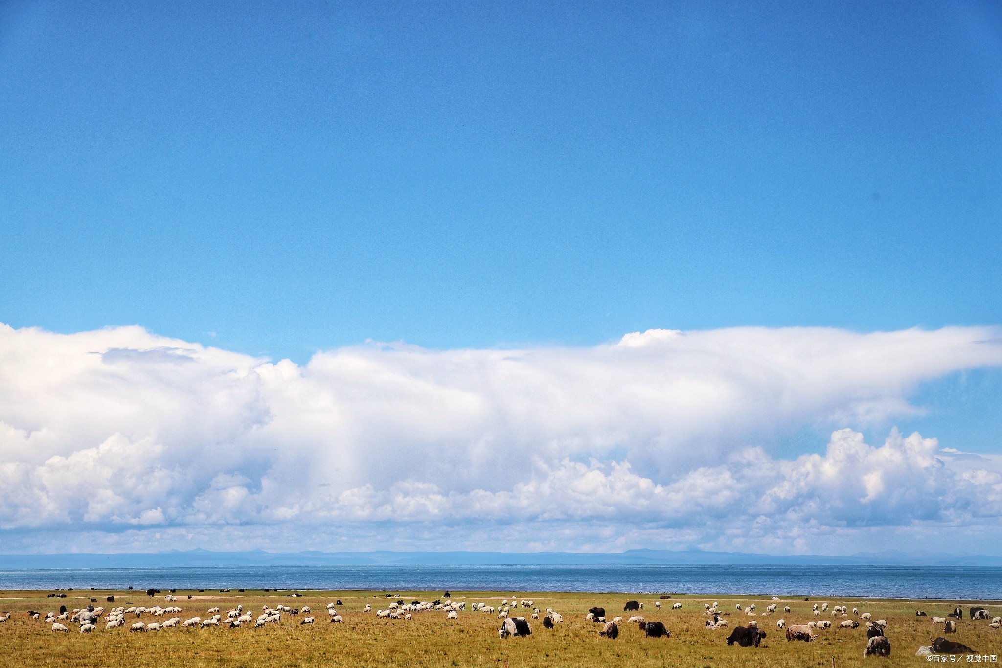 青海小环线和大环线的区别