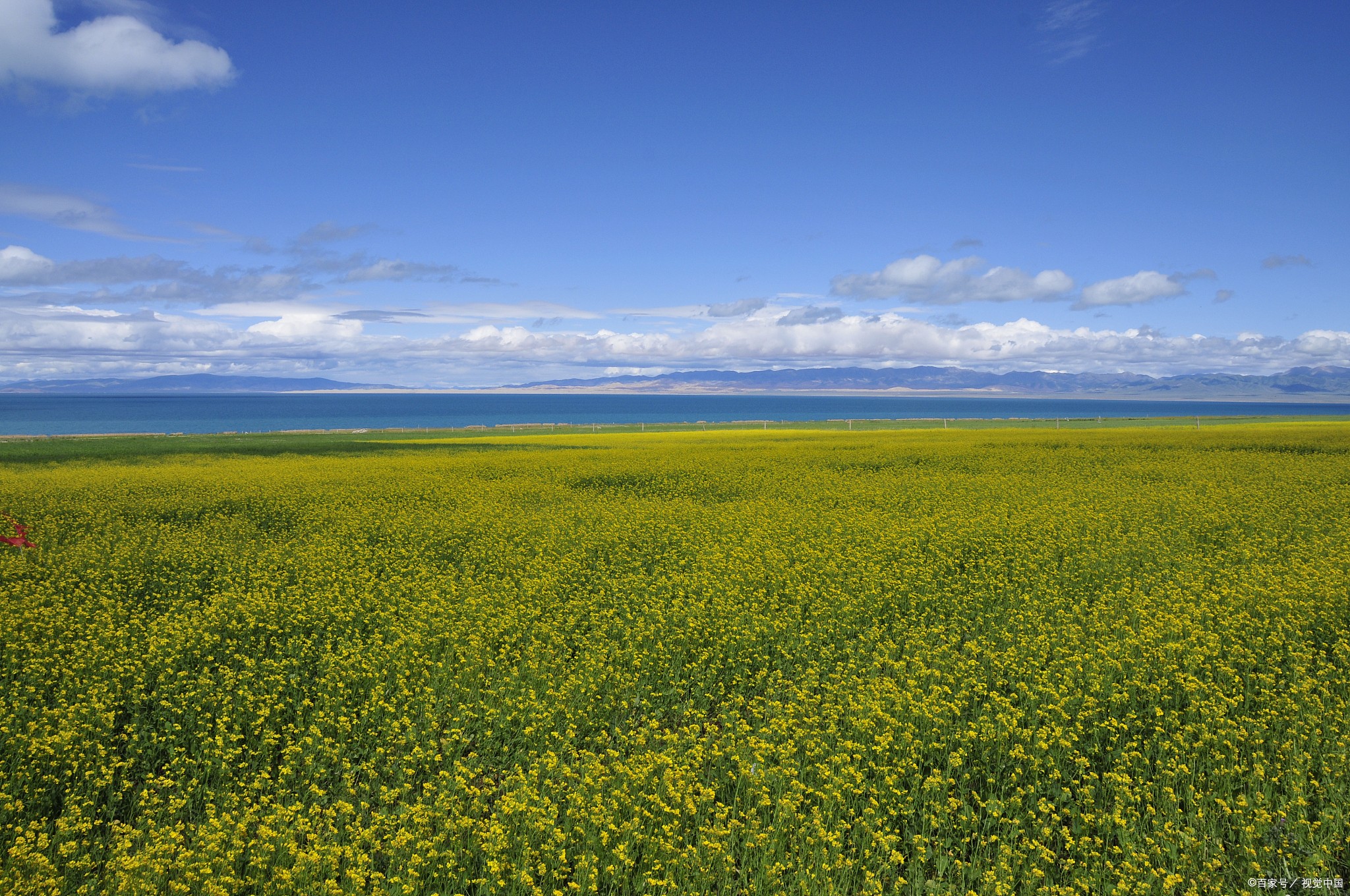 青甘小环线多少公里