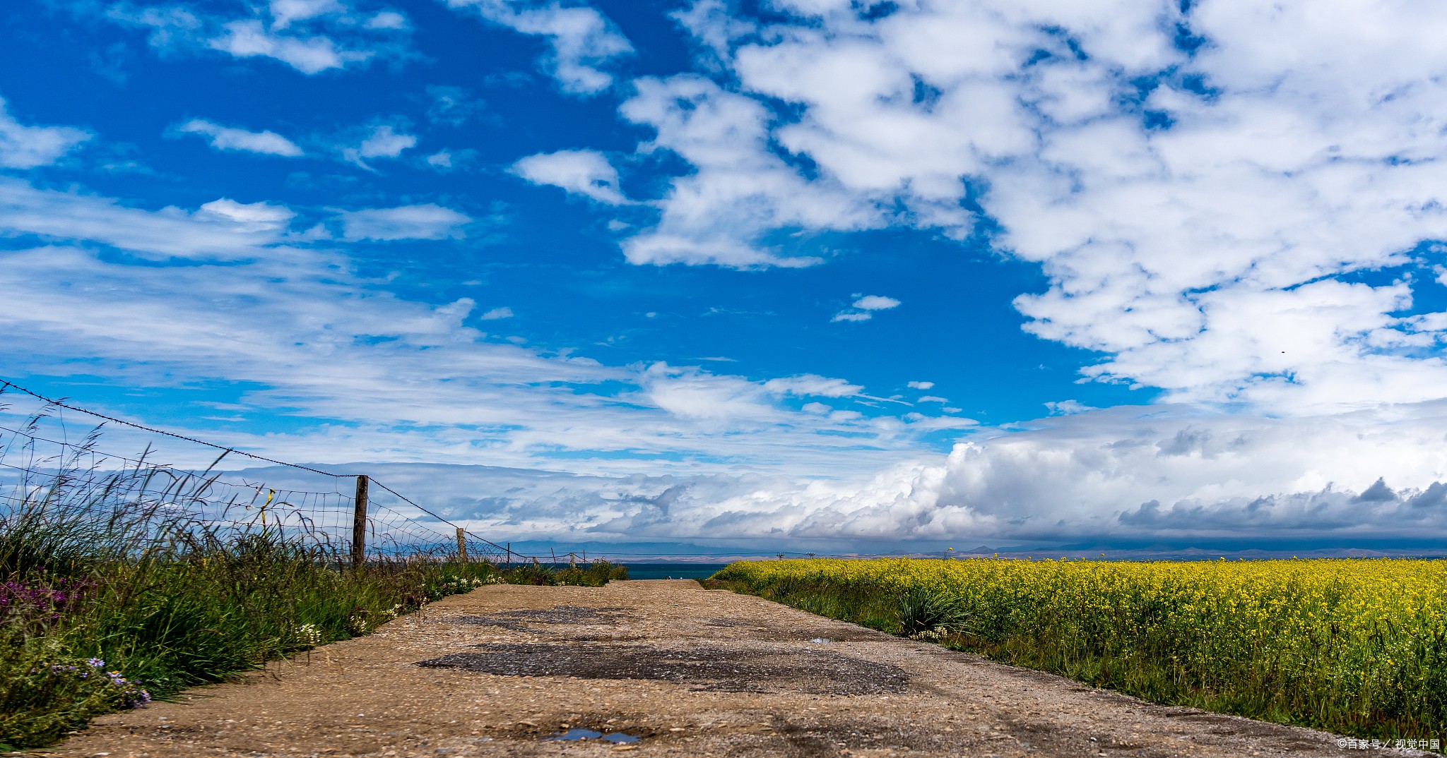 青海湖小环线一圈多少公里