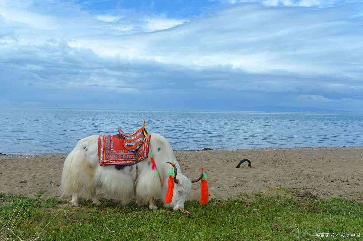 青海小环线五日游