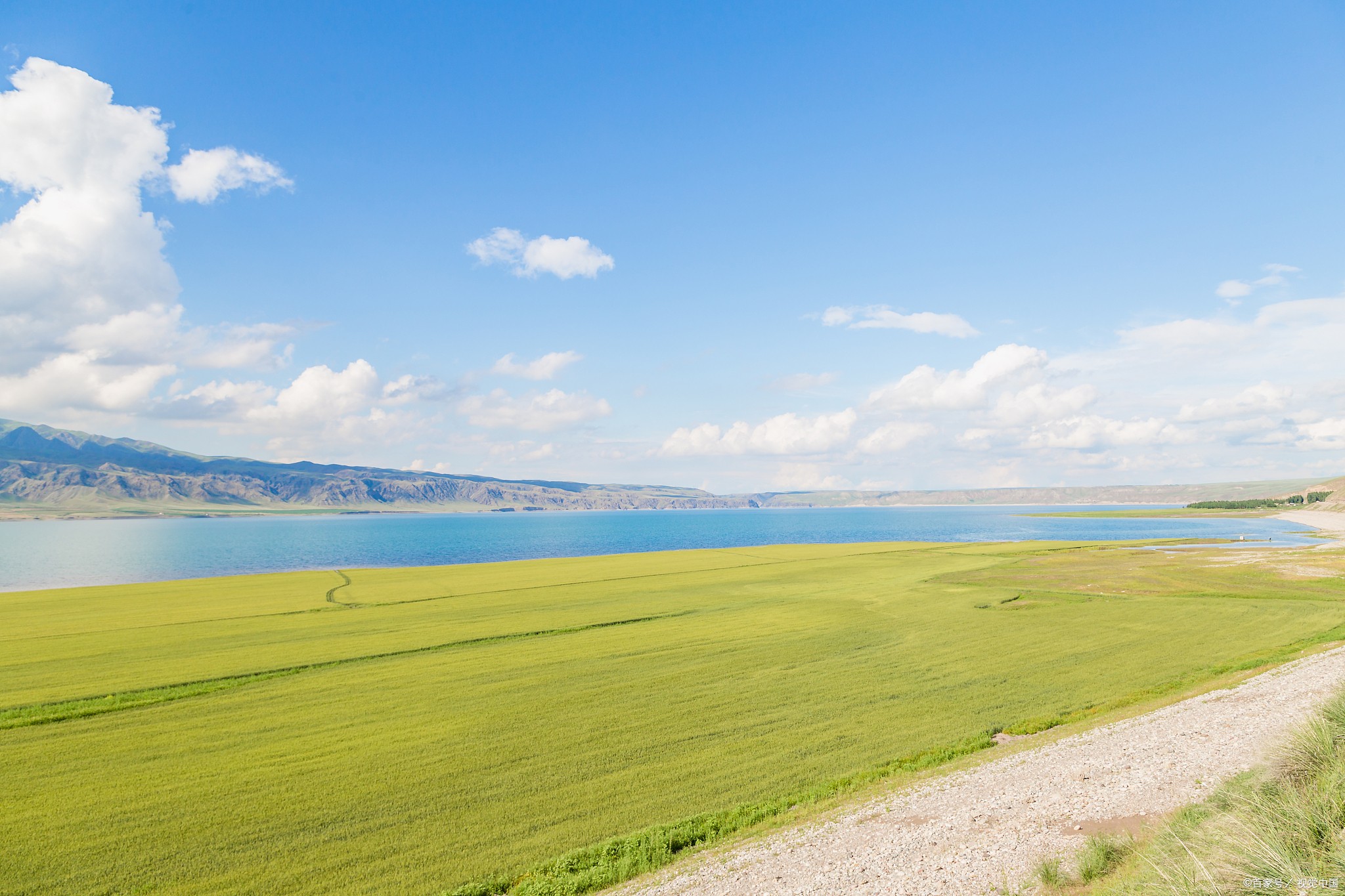 青甘小环线多少公里